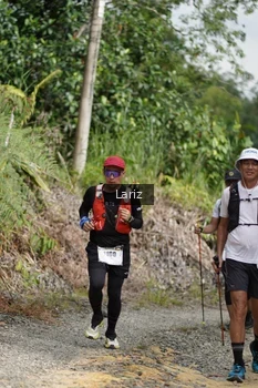 Runner Photo 2495191