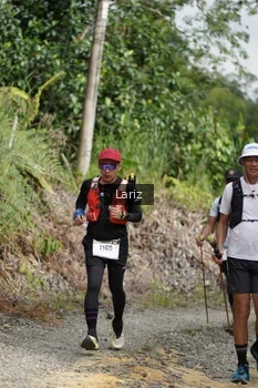 Runner Photo 2495192