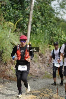 Runner Photo 2495193