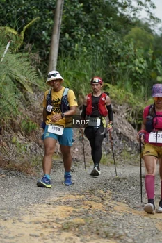 Runner Photo 2495205