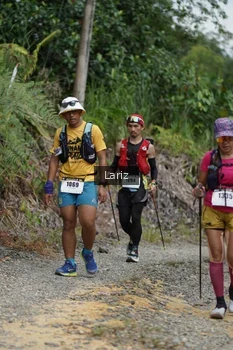 Runner Photo 2495209