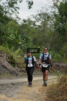 Runner Photo 2495223