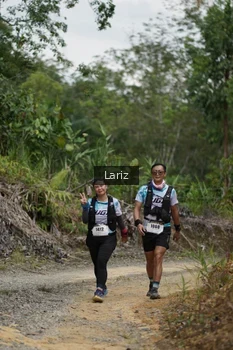 Runner Photo 2495224