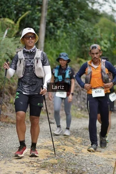 Runner Photo 2495270