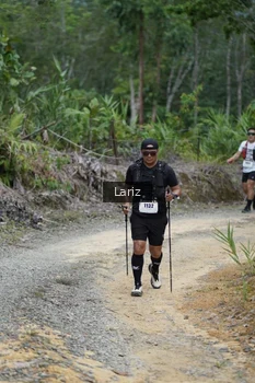 Runner Photo 2495298