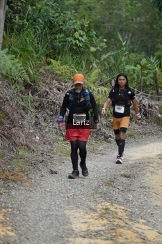 Runner Photo 2495327