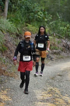 Runner Photo 2495331