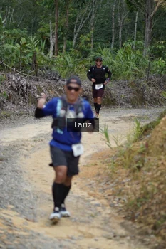 Runner Photo 2495373
