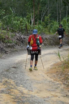 Runner Photo 2495452