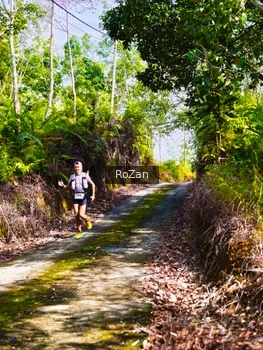 Runner Photo 2495458