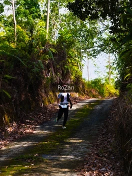 Runner Photo 2495470