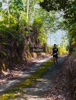 Runner Photo 2495488