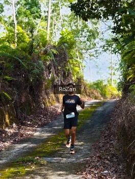 Runner Photo 2495496