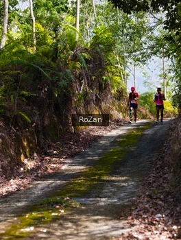 Runner Photo 2495505