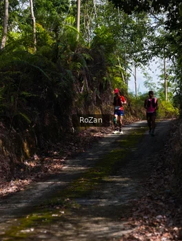 Runner Photo 2495511
