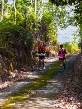 Runner Photo 2495517
