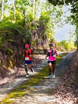 Runner Photo 2495522