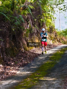 Runner Photo 2495529