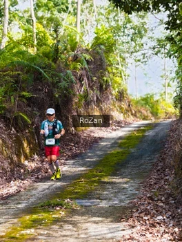 Runner Photo 2495545