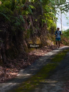 Runner Photo 2495578