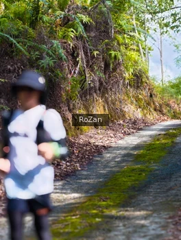 Runner Photo 2495595