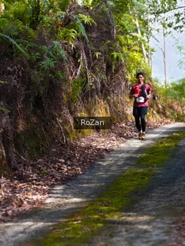 Runner Photo 2495600