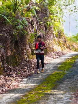 Runner Photo 2495608