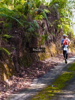 Runner Photo 2495620