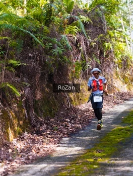 Runner Photo 2495628