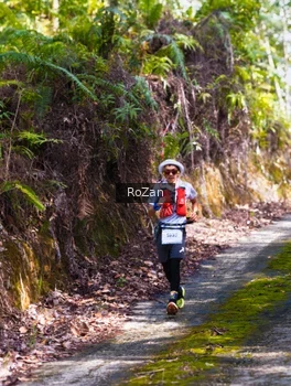 Runner Photo 2495630