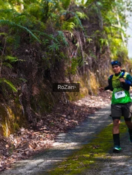 Runner Photo 2495631