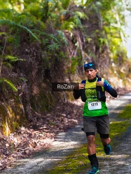 Runner Photo 2495635