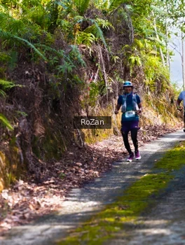 Runner Photo 2495642
