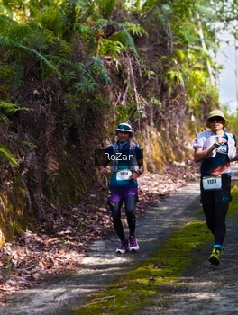 Runner Photo 2495646