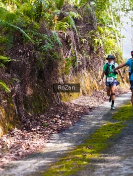Runner Photo 2495654