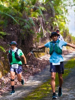 Runner Photo 2495658