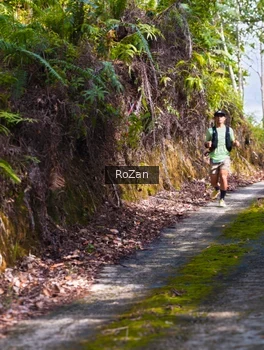 Runner Photo 2495686