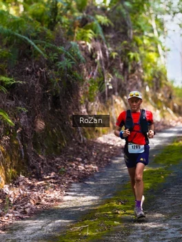 Runner Photo 2495745