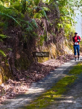 Runner Photo 2495752