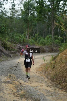Runner Photo 2495755
