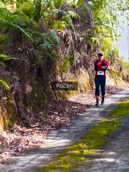 Runner Photo 2495756
