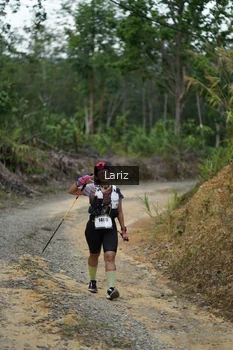 Runner Photo 2495761