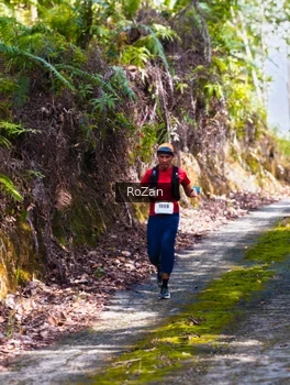 Runner Photo 2495763