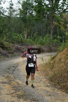 Runner Photo 2495764