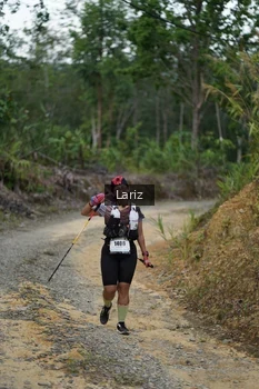 Runner Photo 2495767