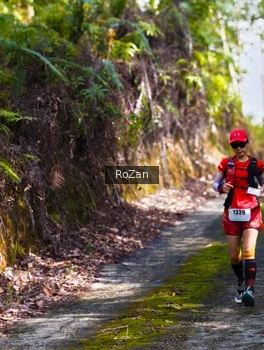 Runner Photo 2495814