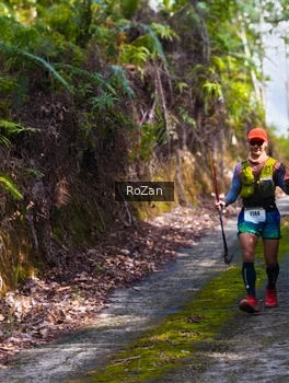 Runner Photo 2495886