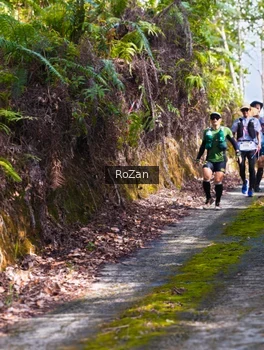 Runner Photo 2495903