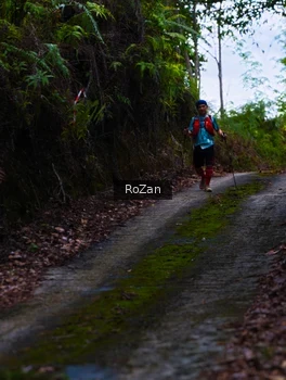 Runner Photo 2497585