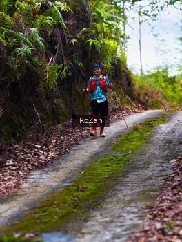 Runner Photo 2497586